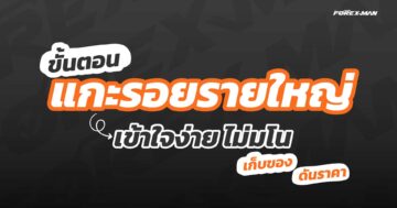 เทรด Forex ให้มีกำไรด้วย ขั้นตอนแกะรอยรายใหญ่